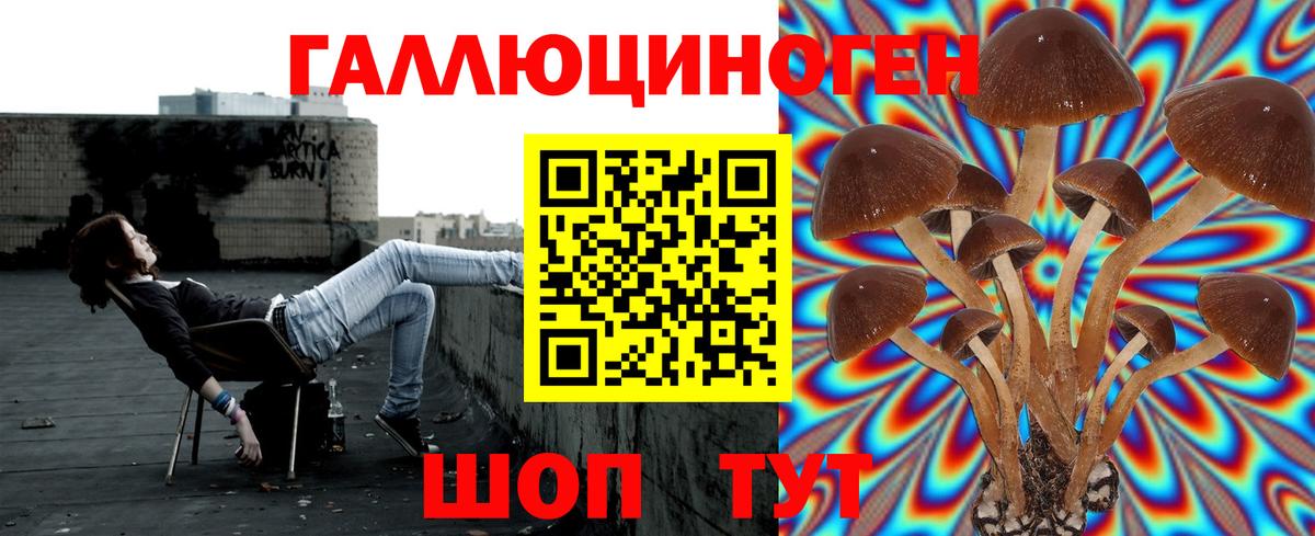 Псилоцибиновые грибы MAGIC MUSHROOMS Октябрьский