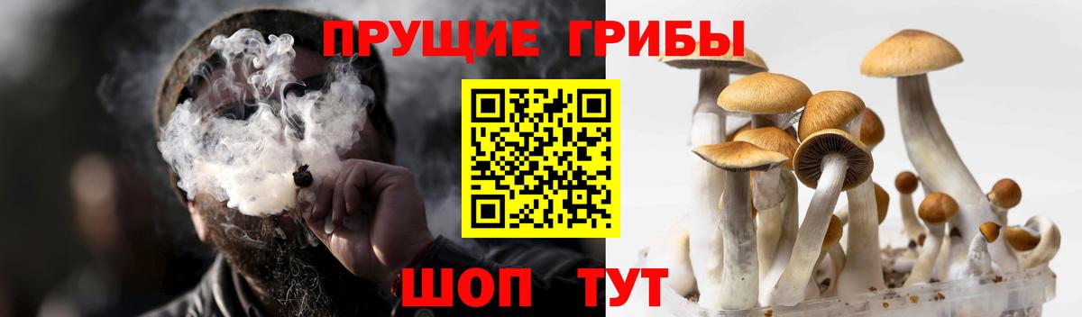 Галлюциногенные грибы Psilocybe  Псилоцибиновые грибы Psilocybine cubensis  Октябрьский  Вход с VPN 