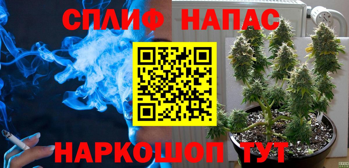 Бошки Шишки семена  Каннабис Amnesia  Вход с VPN  Октябрьский  Бошки Шишки MAZAR  Канабис индика 